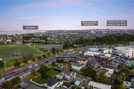 Photo of property in 1/266 Forrest Hill Road, Forrest Hill, Auckland, 0620