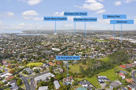 Photo of property in 10 Springfield Street, Forrest Hill, Auckland, 0620