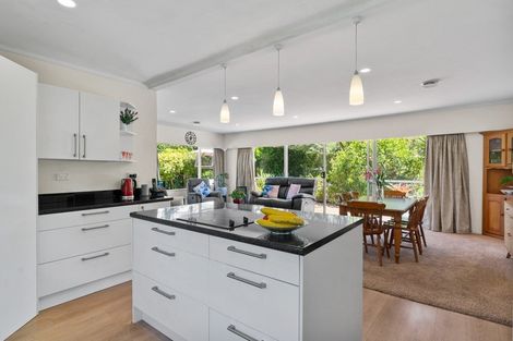 Photo of property in 254a Molesworth Drive, Mangawhai Heads, Mangawhai, 0505