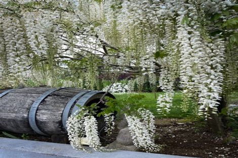 Photo of property in 1034 Ararimu Road, Ararimu, Drury, 2579