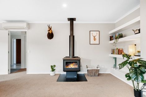 Photo of property in 30 Waenga Drive, Cromwell, 9310