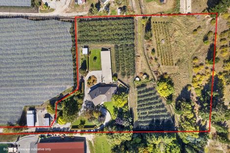 Photo of property in 244 Ripponvale Road, Cromwell, 9384