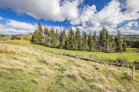 Photo of property in 26 Hukaroa Road, Raetihi, 4632