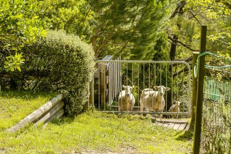 Photo of property in 74 Kaimata Road, Bay View, Napier, 4182