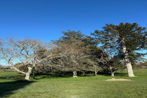 Photo of property in 30 Pellikan Place, Tokoroa, 3491