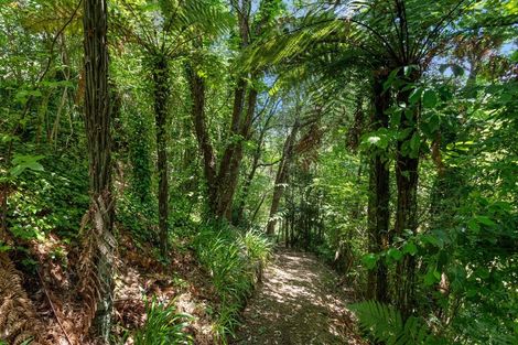 Photo of property in 54 Bell Street, Kawerau, 3127