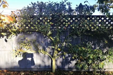 Photo of property in 6 Simeon Street, Somerfield, Christchurch, 8024