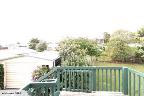 Photo of property in 21 Tudor Road, Henderson, Auckland, 0610