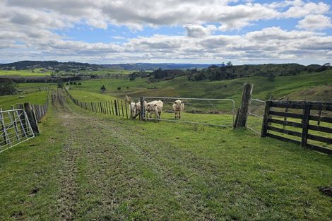 Photo of property in 113c Marua Road, Hikurangi, 0181