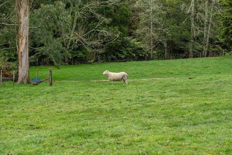 Photo of property in 69 Waitetuna Valley Road, Waitetuna, Raglan, 3295