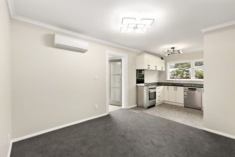 Photo of property in 125 Richmond Street, Petone, Lower Hutt, 5012