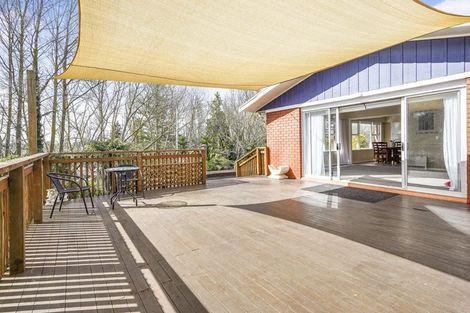 Photo of property in 125 Fitzroy Avenue, Fitzroy, Hamilton, 3206