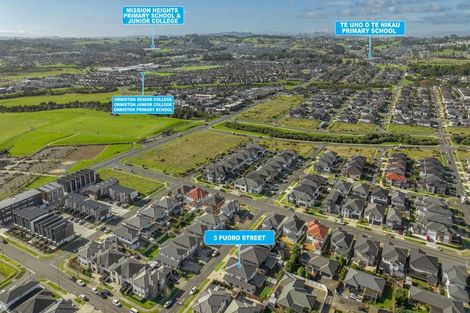 Photo of property in 3 Puoro Street, Flat Bush, Auckland, 2019