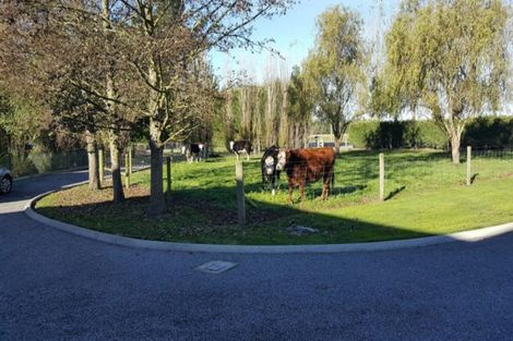 Photo of property in 533 Lower Sefton Road, Sefton, Rangiora, 7477