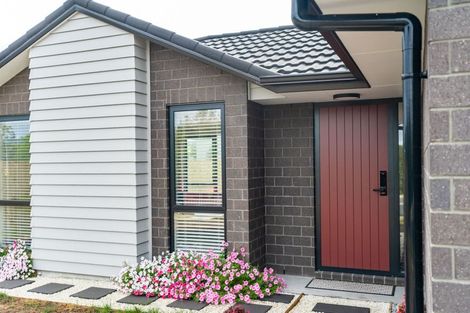 Photo of property in 36 Marram Place, Mangawhai Heads, Mangawhai, 0505