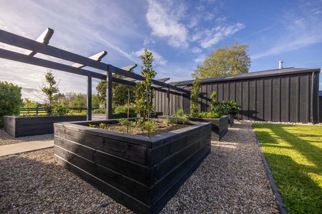 Photo of property in 18 Orchard Place, Matamata, 3472