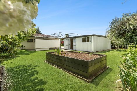 Photo of property in 6 Pukatea Place, Matamata, 3400