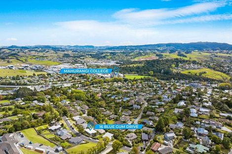 Photo of property in 16 Blue Gum Drive, Warkworth, 0910