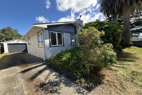 Photo of property in 149 Limbrick Street, Terrace End, Palmerston North, 4410