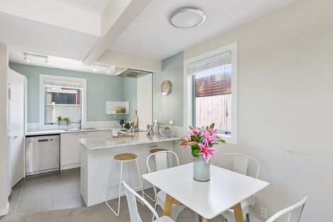 Photo of property in 219a Adelaide Road, Newtown, Wellington, 6021