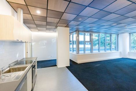 Photo of property in Te Kainga, 195 Willis Street, Te Aro, Wellington, 6011