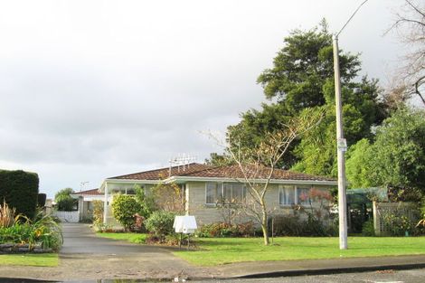 Photo of property in 220a Wolseley Street, Mayfair, Hastings, 4122