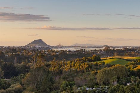 Photo of property in 10 Taranui Place, Ohauiti, Tauranga, 3112