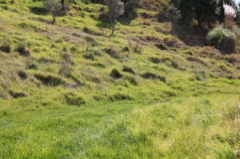 Photo of property in 286 Cove Road, Waipu, 0582