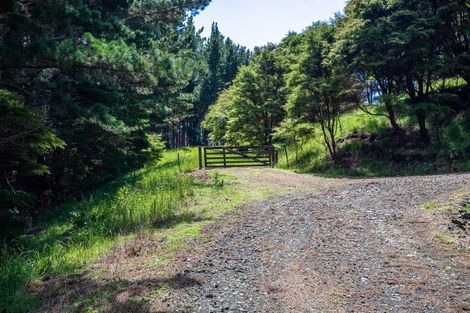 Photo of property in 425m Boat Harbour Road, Whenuakite, Whitianga, 3591