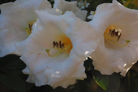 Photo of property in 7 Douglas Street, Lincoln, 7608