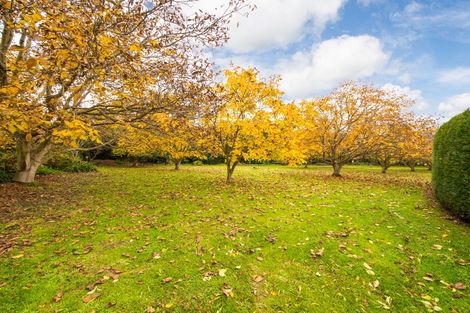 Photo of property in 107 Te Matai Road, Whakarongo, Palmerston North, 4470