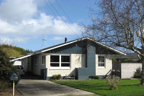 Photo of property in 174 Roslyn Road, Levin, 5510