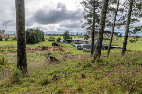 Photo of property in 500 Foxton Shannon Road, Foxton, 4893