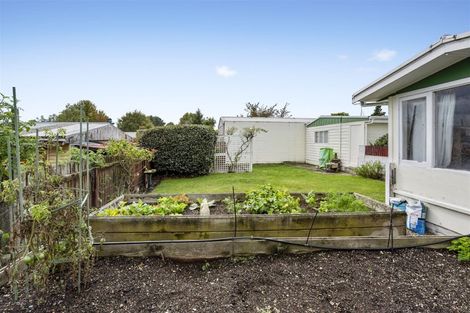 Photo of property in 14 Northfield Place, Tokoroa, 3420