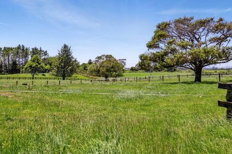 Photo of property in 1 Waingongoro Road, Cardiff, Stratford, 4391