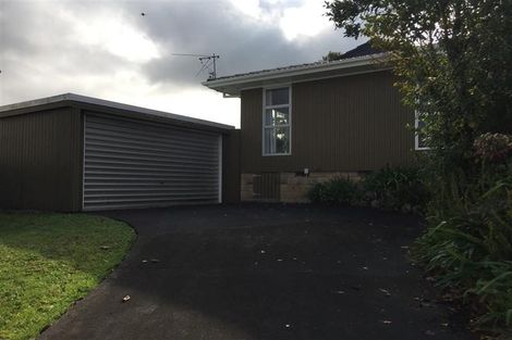 Photo of property in 49 Trevola Street, New Windsor, Auckland, 0600