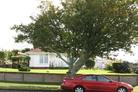 Photo of property in 6 Station Street, Tirau, 3410