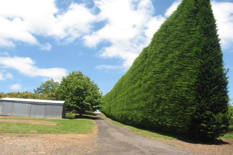 Photo of property in 210 Tuapiro Road, Tahawai, Katikati, 3170