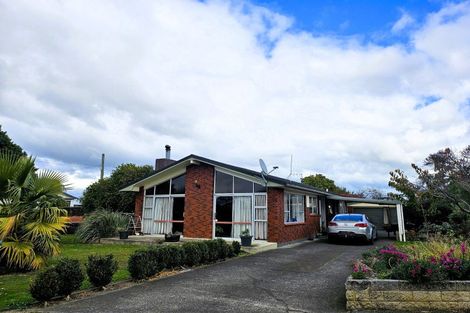Photo of property in 26 Christian Street, Dannevirke, 4930