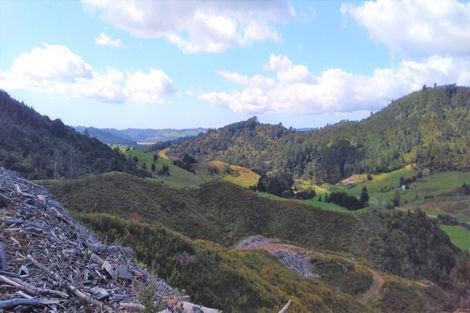 Photo of property in 270 Kaimarama Road, Kaimarama, Whitianga, 3591