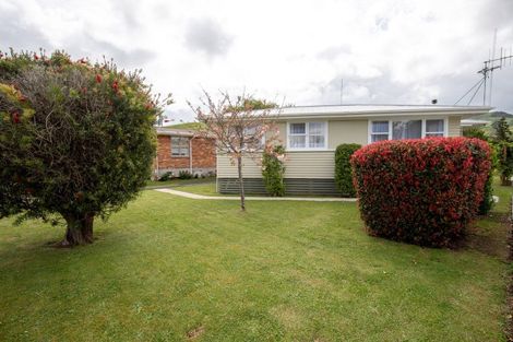 Photo of property in 57 Thames Road, Paeroa, 3600