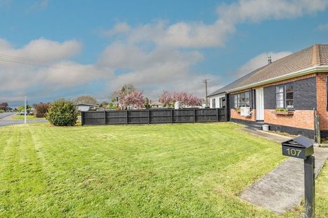 Photo of property in 107 Mackenzie Street, Winton, 9720