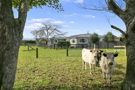 Photo of property in 9 Pond Road, Matamata, 3472