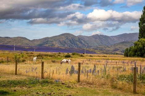 Photo of property in 326 Golden Road, Springvale, Alexandra, 9393