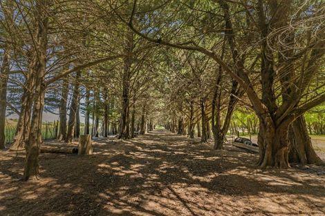 Photo of property in 65 Park Hill Road, Tai Tapu, 7672