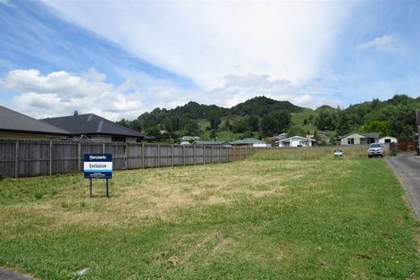 Photo of property in 12 Robin Azariah Place, Te Kuiti, 3910