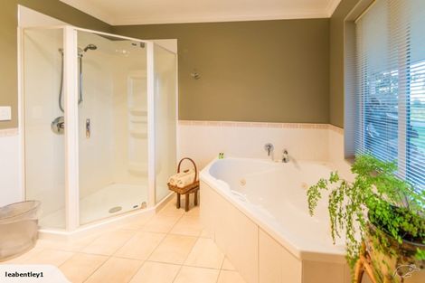 Photo of property in Misty Peaks B And B, 105 Cook Flat Road, Fox Glacier, 7886