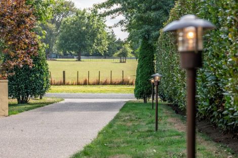 Photo of property in 113 Milton Street, Leamington, Cambridge, 3432