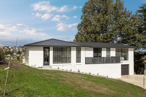 Photo of property in 207 Taieri Road, Kaikorai, Dunedin, 9010