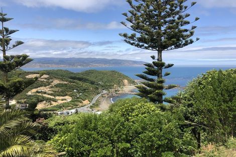 Photo of property in 181 Buckley Road, Southgate, Wellington, 6023